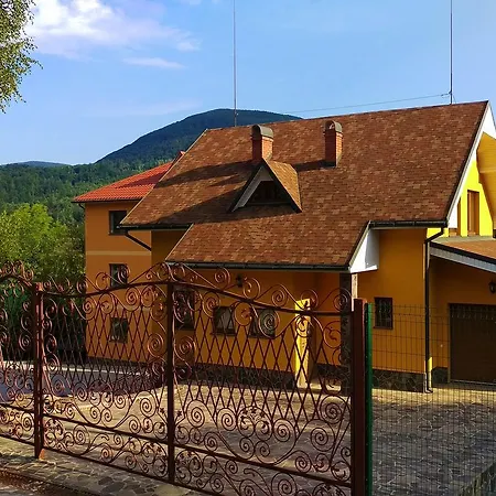 пори року * Synyak